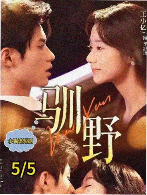 年代悬疑剧半城烟火海报